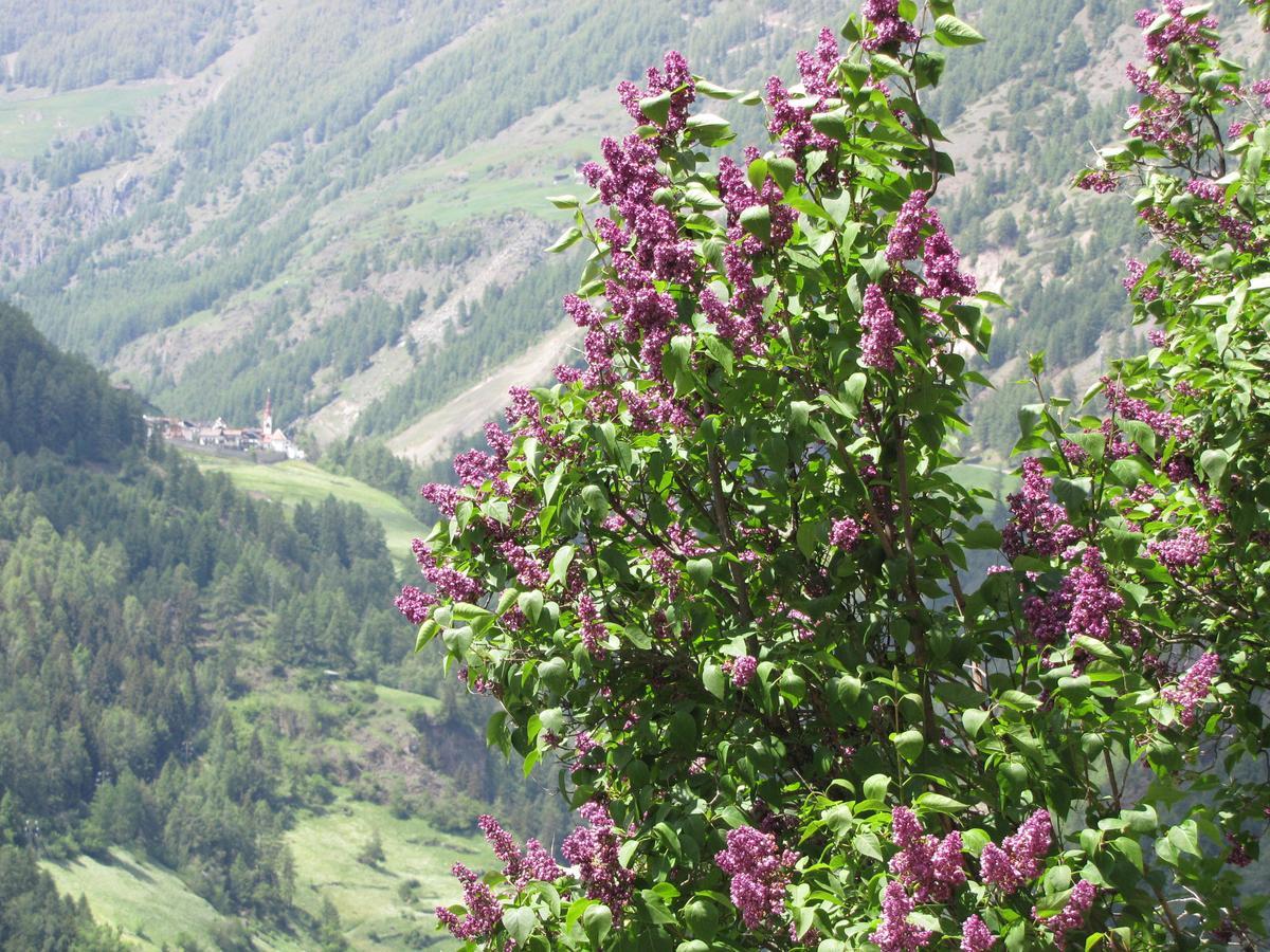Hotel Am Fels Senales/Schnals Buitenkant foto